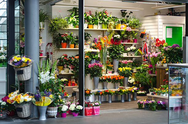 Colorful flowers displayed in shop