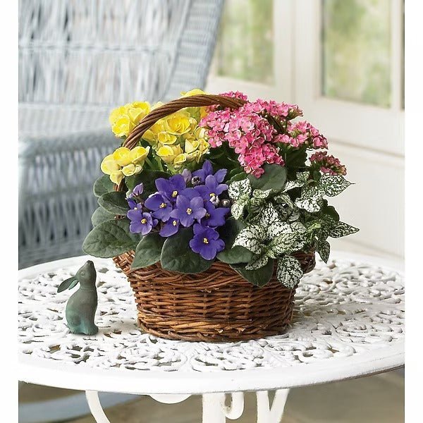 Spring Has Sprung Mixed Basket - Image 2