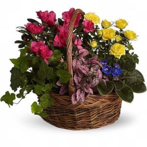 Blooming Garden Basket