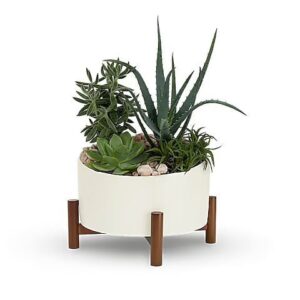 Teleflora’s Desert Chic Garden