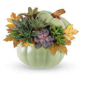 Teleflora’s Sage Pumpkin Succulent Garden