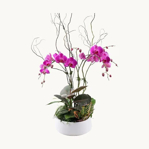 Orchid Garden Style 1 - Image 2