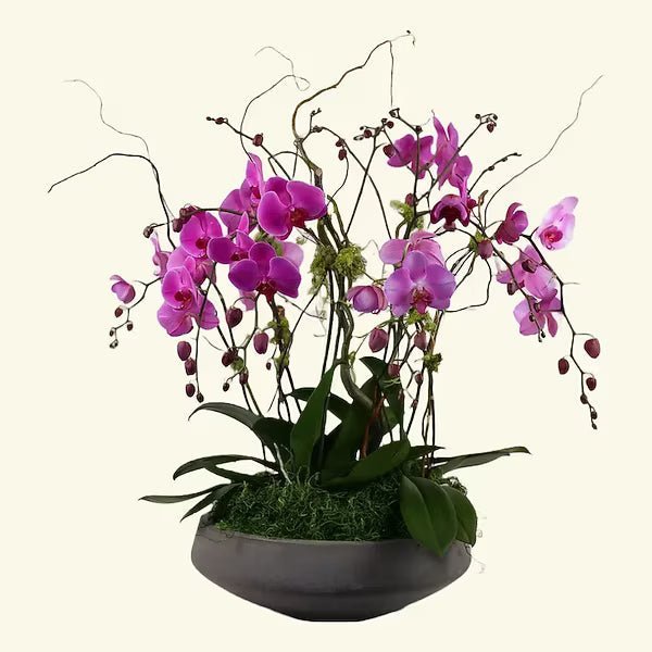 Orchid Garden Style B - Image 2