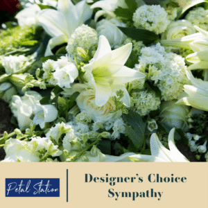 Designer Choice – Sympathy