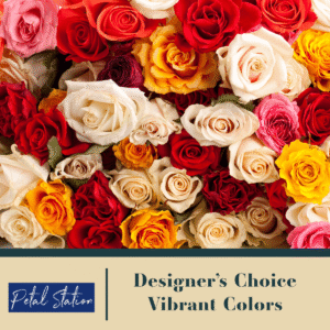 Designer Choice – Vibrant Color