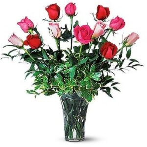 A Dozen Multi-Colored Roses