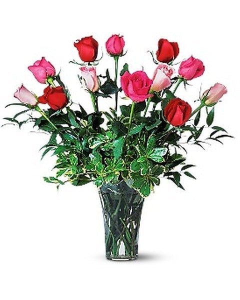 A Dozen Multi-Colored Roses