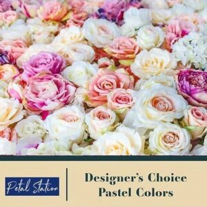 Designer Choice – Pastel Color