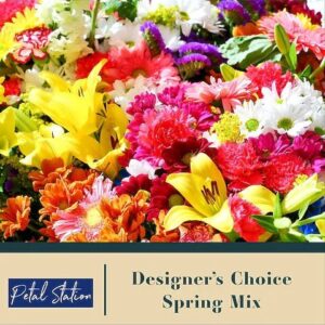 Designer Choice – Spring Mix