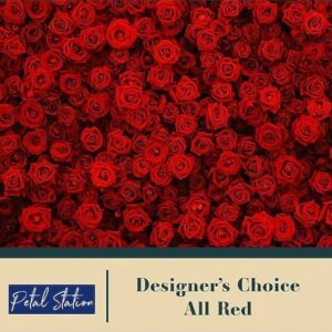 Designer Choice – All Red