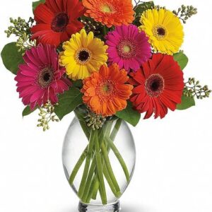 Teleflora’s Gerbera Brights