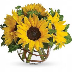 Sunny Sunflowers