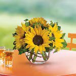 Sunny Sunflowers - Image 2