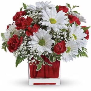 Red And White Delight by Teleflora