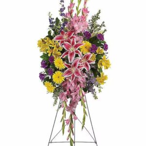 Rainbow Of Remembrance Spray