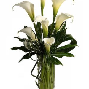 My Fair Lady by Teleflora