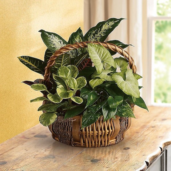 Emerald Garden Basket - Image 2