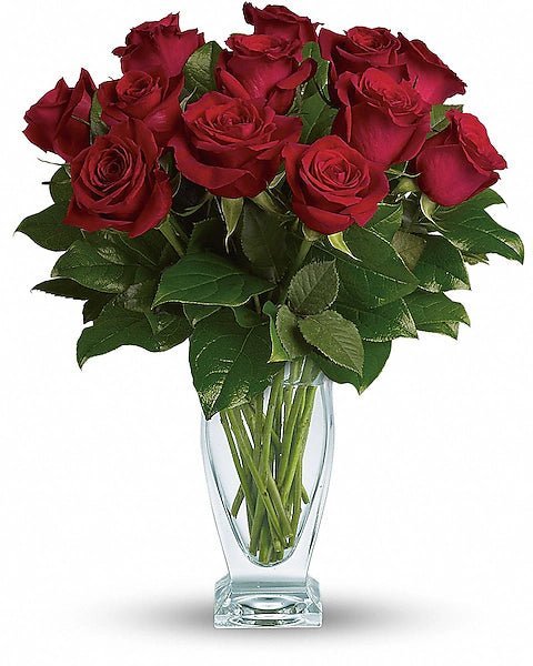 Teleflora's Rose Classique - Dozen Red Roses