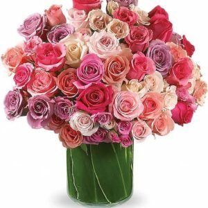 Rose Rapture