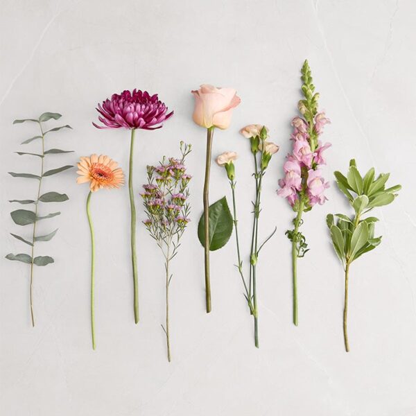 Bistro Blooms