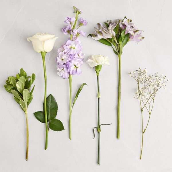 Lovely Lavender Medley