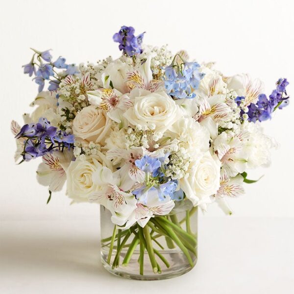 Loving Sentiments Blue & White