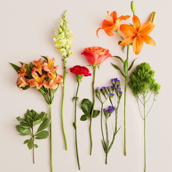 Vibrant Floral Medley