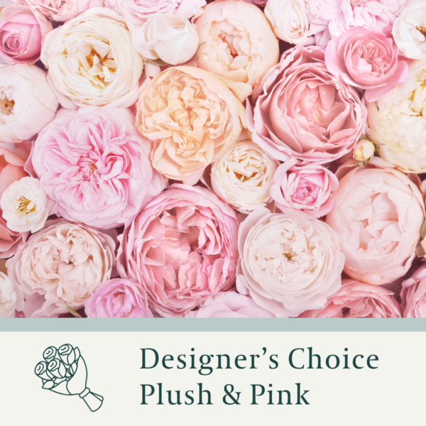 Designer Choice Plush & Pink