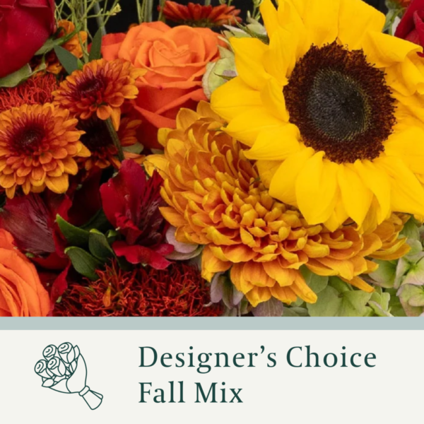 Designer Choice Fall Mix