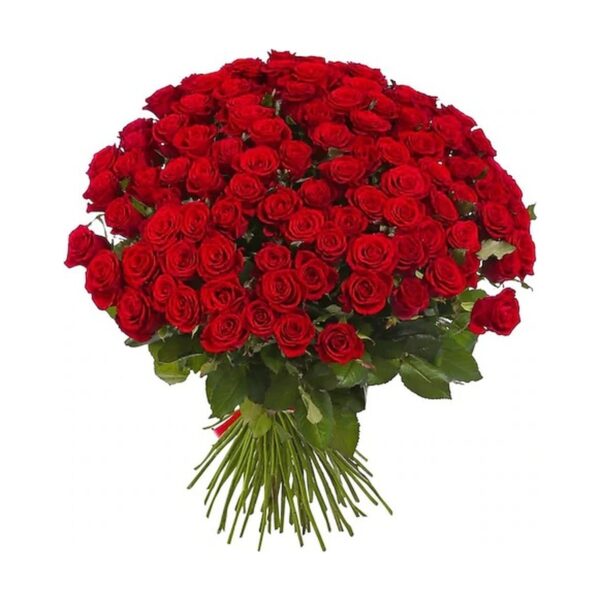 Red Rose