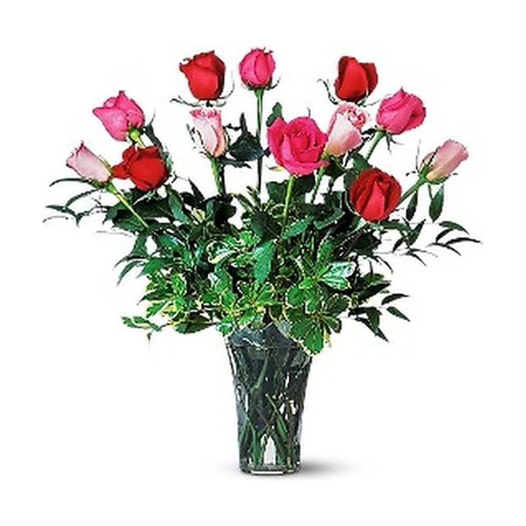 A Dozen Multi-Colored Roses