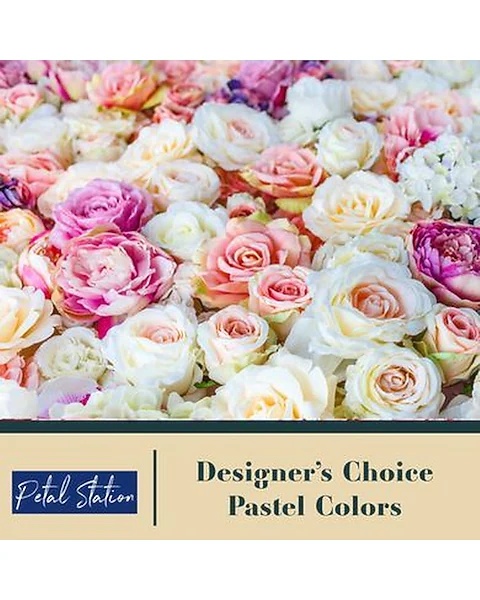 Choice Pastel Color
