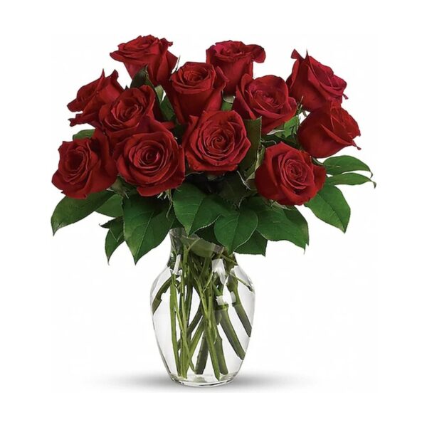 Red Roses