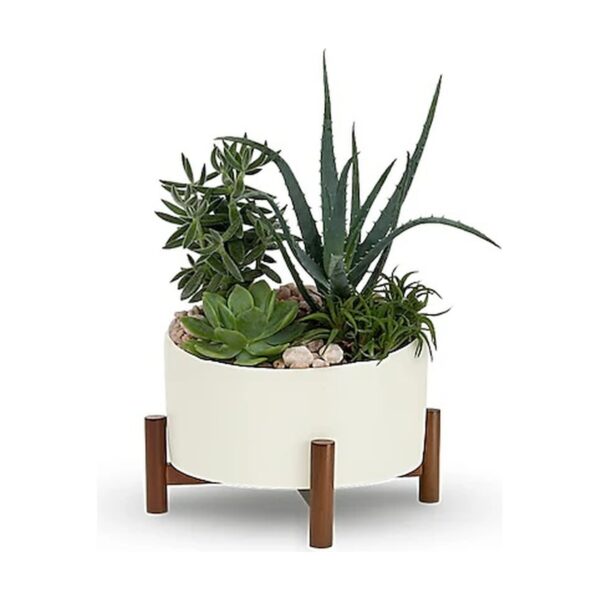 Desert Chic Garden