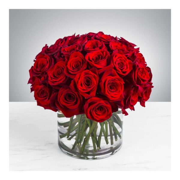 Vibrant red roses in glass vase