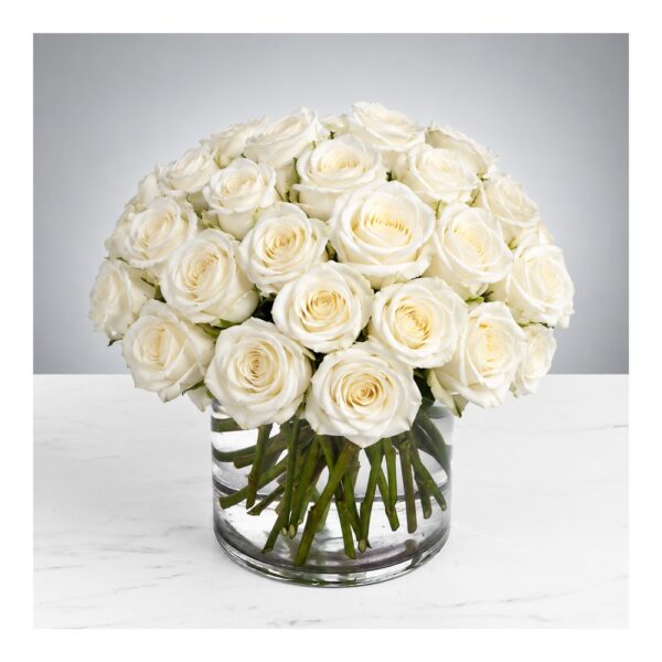 Bouquet of white roses in vase