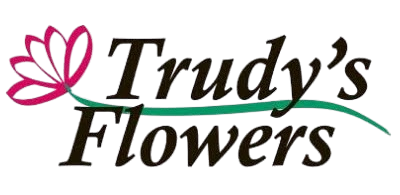 trudys logo bg